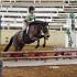 MegFord Schooling Show
